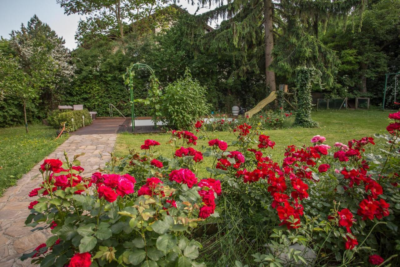 Huebsches Privatzimmer Mit Bad Perchtoldsdorf Ngoại thất bức ảnh